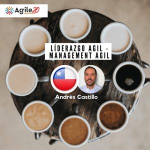 Liderazgo Agil - Management Agile