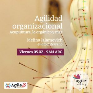 Agilidad organizacional : la acupuntura, lo orgánico y mucho más
